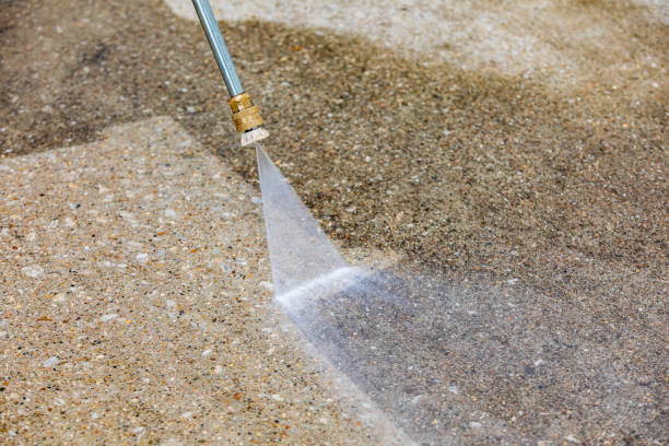 Best Driveway Pressure Washing  in Juarez, TX